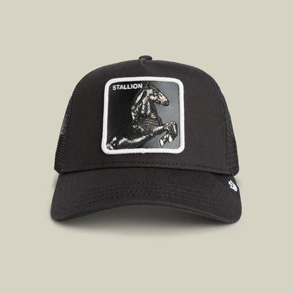 Goorin Bros. Stallion Trucker