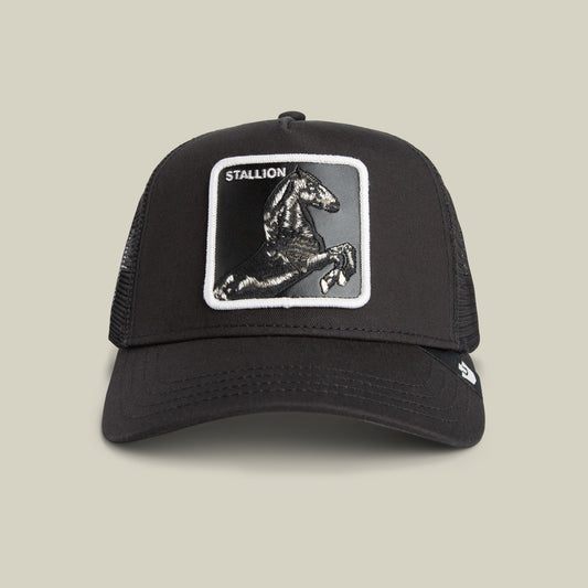 Goorin Bros. Stallion Trucker