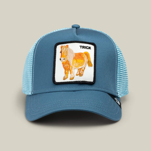 Goorin Bros. Dad and Pony Show (Kids)