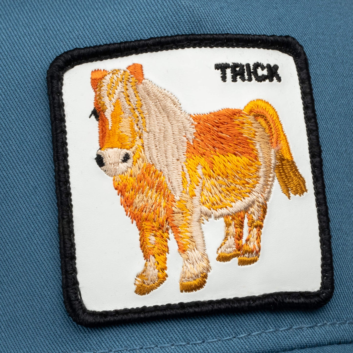 Goorin Bros. Dad and Pony Show (Kids)