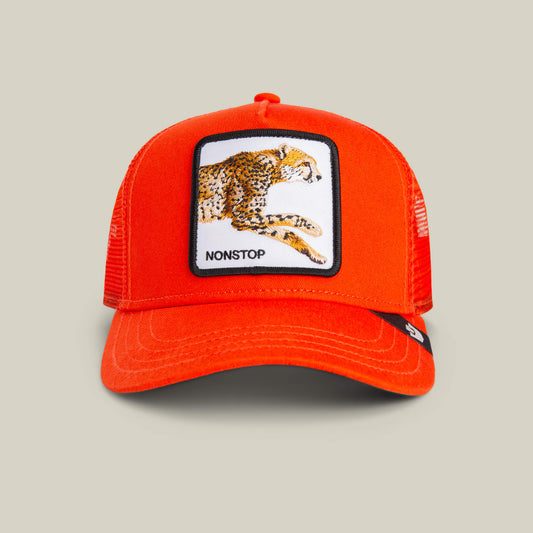 Goorin Bros. The Nonstop Cheetah Mini Noir