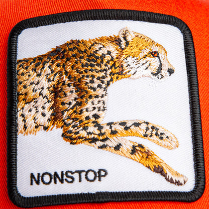 Goorin Bros. The Nonstop Cheetah Mini Noir