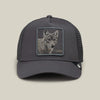 Oil Gray