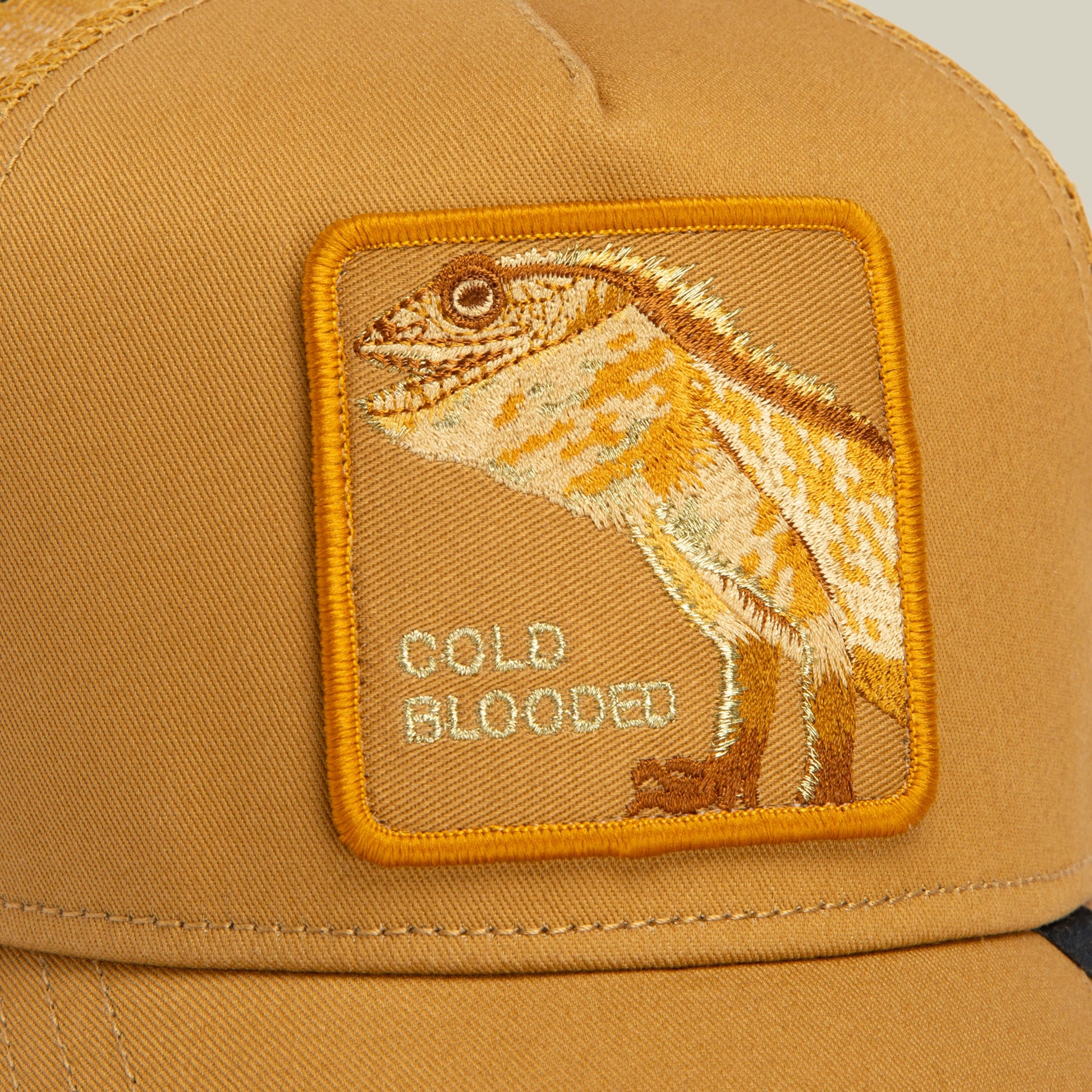 Goorin Bros. Circle of Life - Cold Blooded