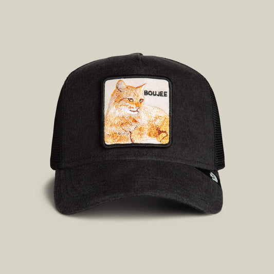 Goorin Bros. Terry Cloth Cat