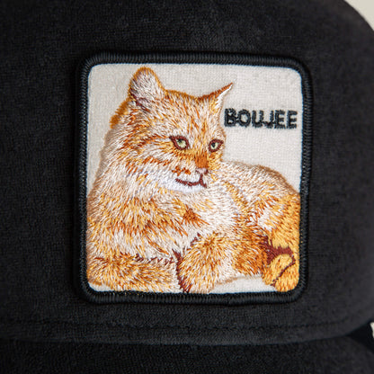 Goorin Bros. Terry Cloth Cat
