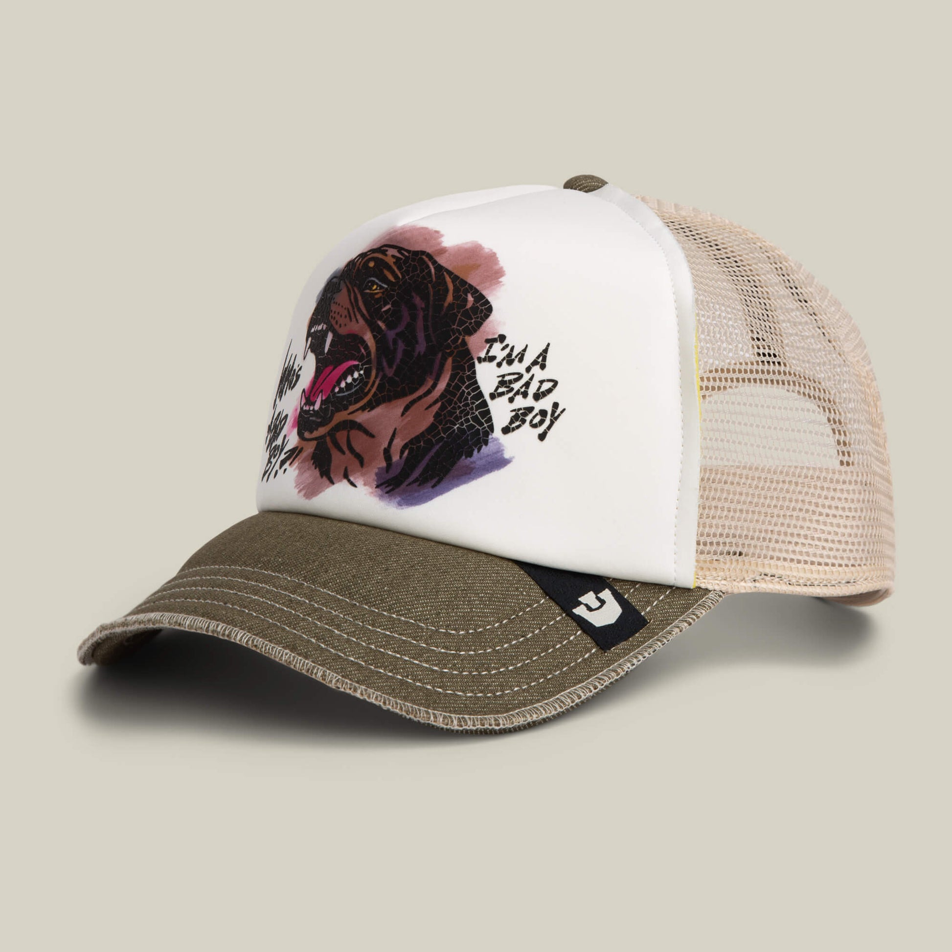 Goorin Bros. Bad Boy Disruption